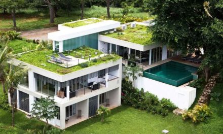 Manfaat Rumah Hijau Untuk Kesehatan Dan Lingkungan