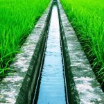Sistem Irigasi Tradisional Dan Modern Pada Sawah