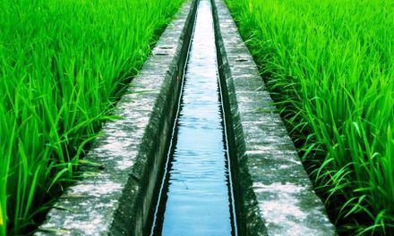Sistem Irigasi Tradisional Dan Modern Pada Sawah