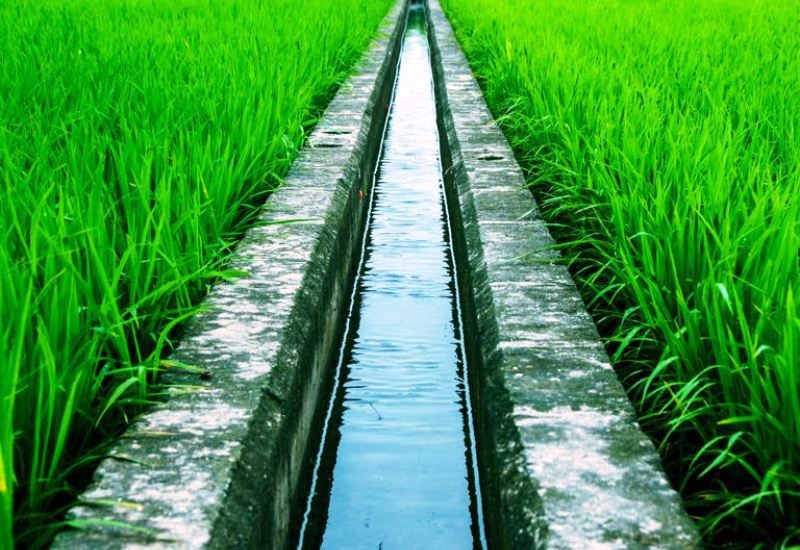 Sistem Irigasi Tradisional Dan Modern Pada Sawah