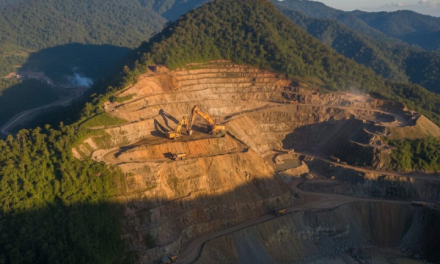 Tambang Papua: Sumber Daya Alam Strategis Dan Kontroversial