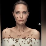 Angelina Jolie Dan Kepeduliannya Terhadap Kelestarian Alam