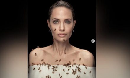 Angelina Jolie Dan Kepeduliannya Terhadap Kelestarian Alam