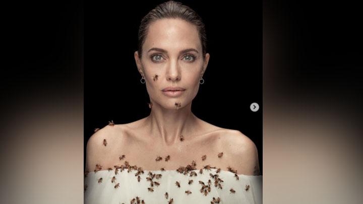 Angelina Jolie Dan Kepeduliannya Terhadap Kelestarian Alam