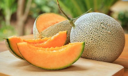 Manfaat Buah Melon Untuk Menjaga Kesehatan Tubuh Sehari-Hari