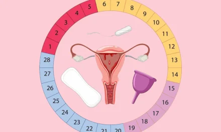 Memahami Siklus Menstruasi Dan Perubahannya Setiap Fase