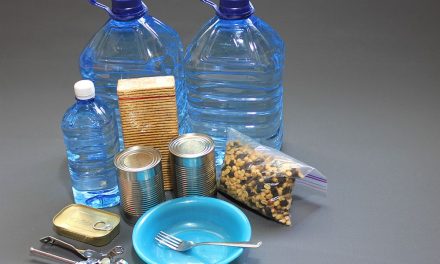 Tips Menyimpan Logistik Dan Makanan Darurat Atas Kondisi Krisis