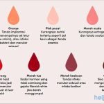 Darah Menstruasi: Mengenal Warna Dan Perubahannya Di Siklus