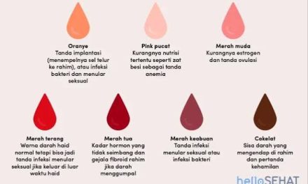 Darah Menstruasi: Mengenal Warna Dan Perubahannya Di Siklus