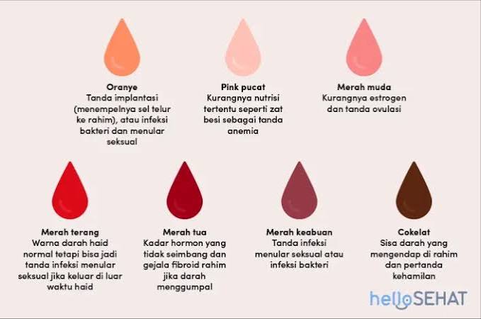 Darah Menstruasi: Mengenal Warna Dan Perubahannya Di Siklus