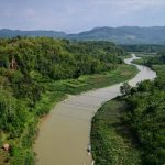 Hutan Dan Sungai Indonesia: Hubungan Ekosistem Harus Dijaga
