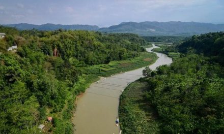 Hutan Dan Sungai Indonesia: Hubungan Ekosistem Harus Dijaga