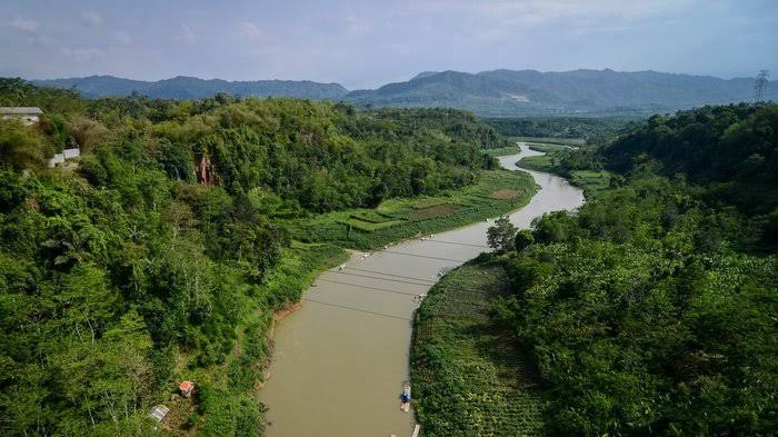 Hutan Dan Sungai Indonesia: Hubungan Ekosistem Harus Dijaga