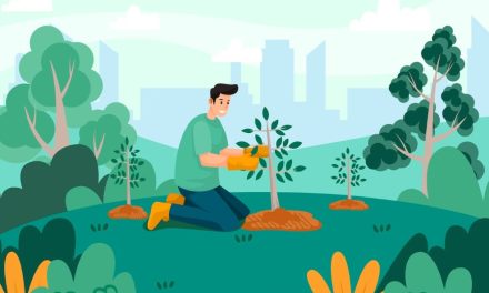 Konservasi Hutan: Menjaga Alam Dan Keanekaragaman Hayati