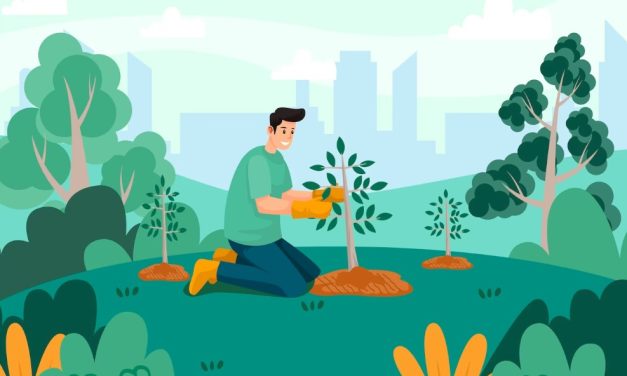Konservasi Hutan: Menjaga Alam Dan Keanekaragaman Hayati