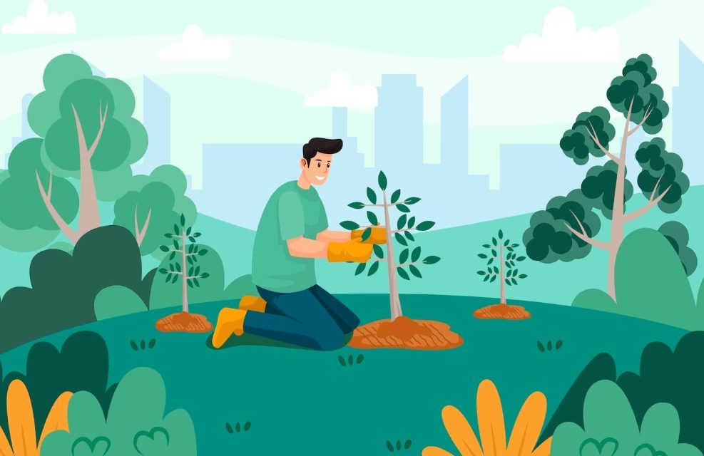 Konservasi Hutan: Menjaga Alam Dan Keanekaragaman Hayati