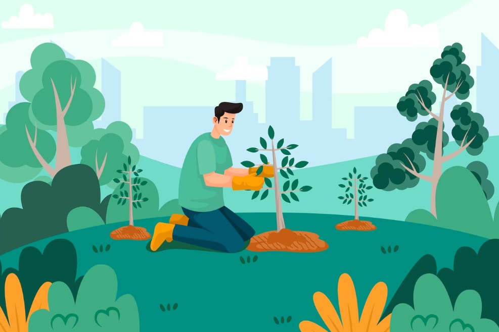 Konservasi Hutan: Menjaga Alam Dan Keanekaragaman Hayati