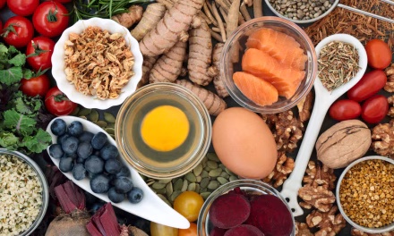 Makanan Berprotein: Sumber Nutrisi Untuk Menunjang Aktivitas